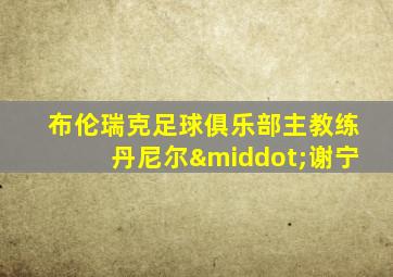 布伦瑞克足球俱乐部主教练丹尼尔·谢宁