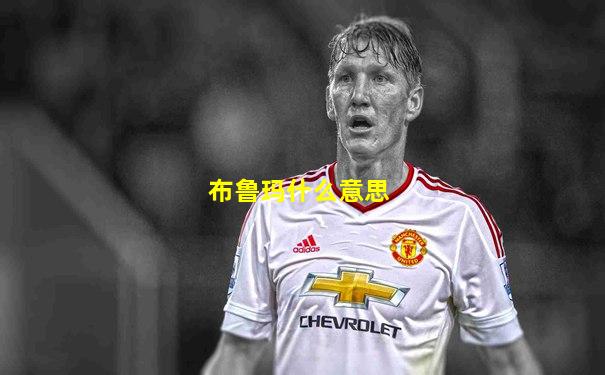 布鲁玛什么意思