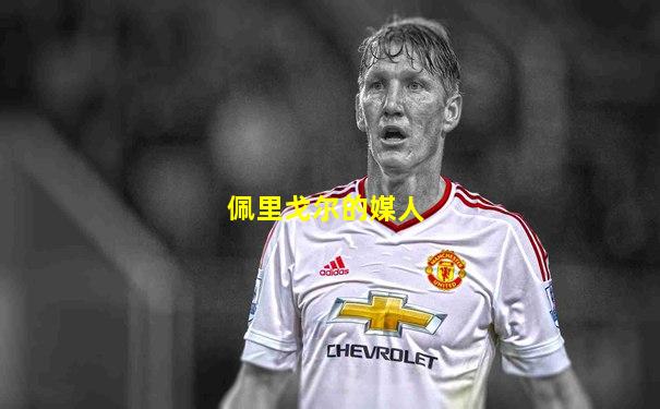 佩里戈尔的媒人