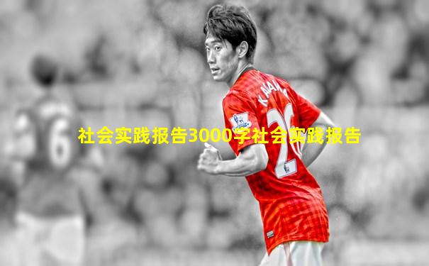 社会实践报告3000字社会实践报告
