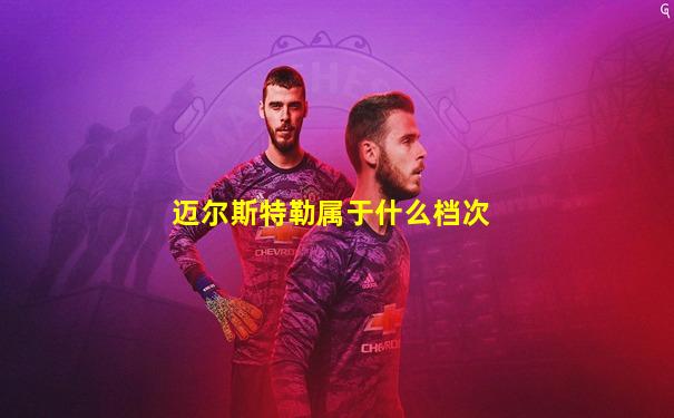 迈尔斯特勒属于什么档次
